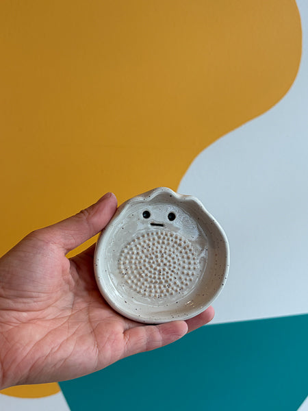 Garlic grater
