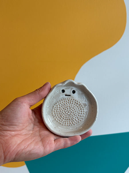 Garlic grater
