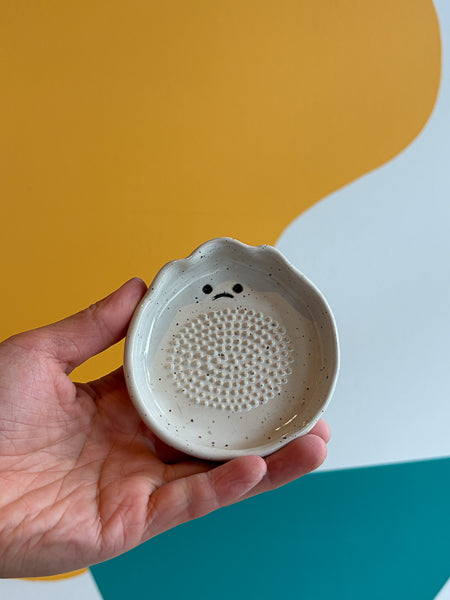 Garlic grater