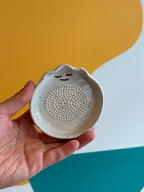 Garlic grater