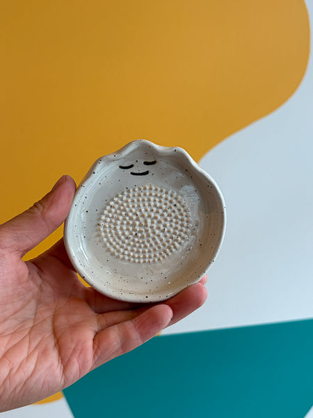 Garlic grater