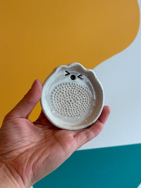 Garlic grater